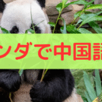 パンダで中国語